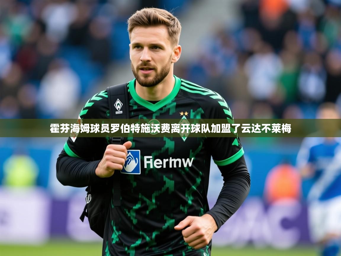 2025迈博体育霍芬海姆球员罗伯特施沃费离开球队加盟了云达不莱梅  第1张