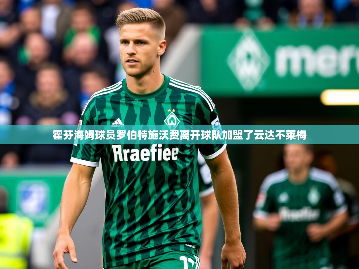 2025迈博体育霍芬海姆球员罗伯特施沃费离开球队加盟了云达不莱梅  第3张