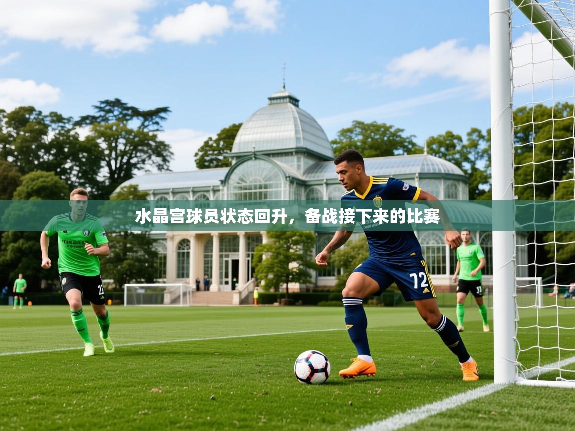 2025迈博体育在线水晶宫球员状态回升，备战接下来的比赛