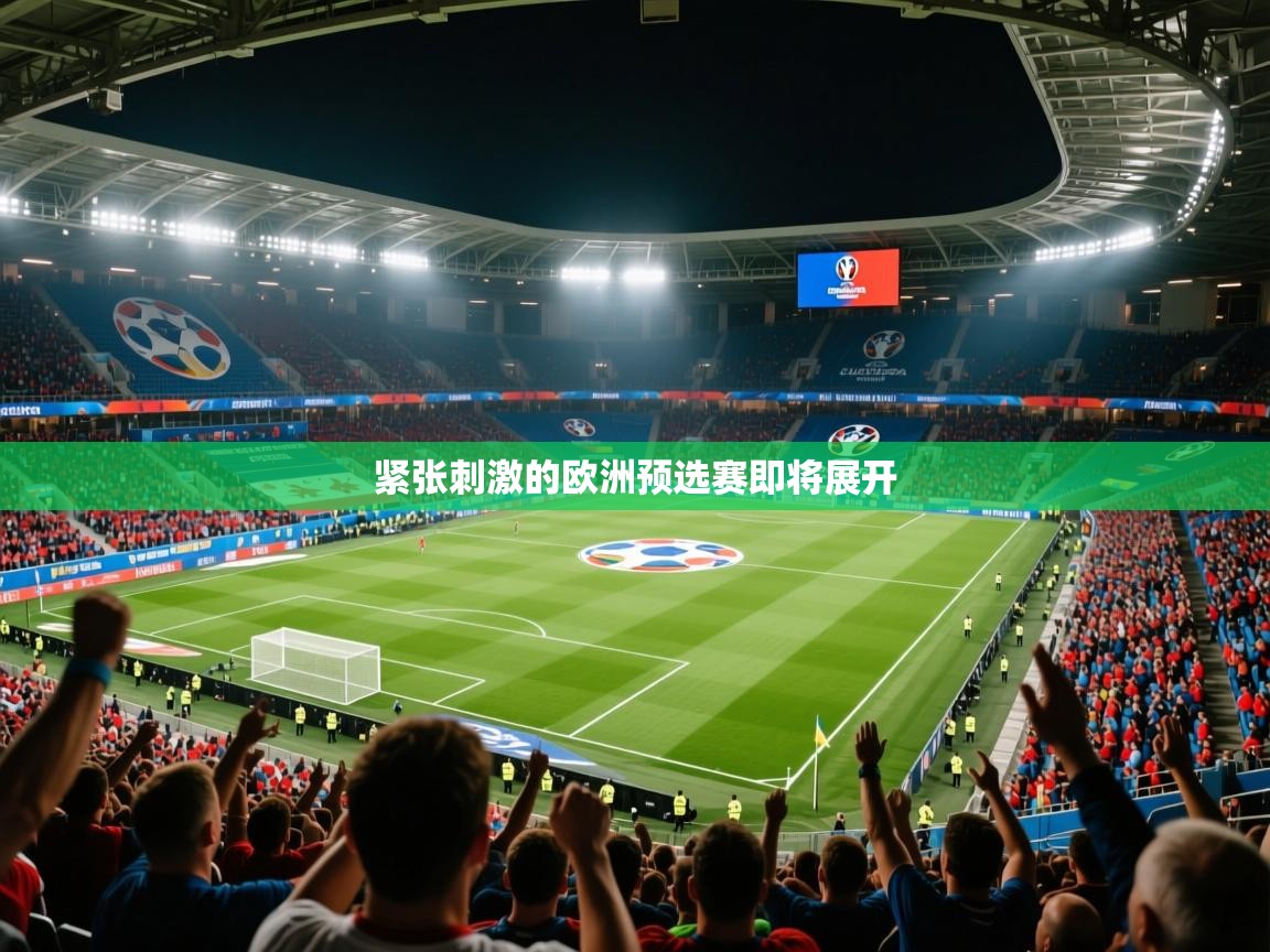 2026迈博体育 源自欧洲紧张刺激的欧洲预选赛即将展开  第2张